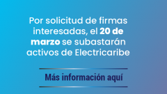 Por solicitud de firmas interesadas, el 20 de marzo se subastarán activos de Electricaribe