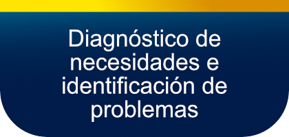 Diagnóstico de necesidades e identificación de problemas
